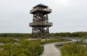 Robinson Preserve in Bradenton features observation tower overlooking Tampa Bay that just might a "Pokemon Go" Gym. H-T ARCHIVE