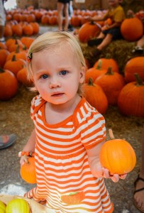 Fruitville Pumpkin