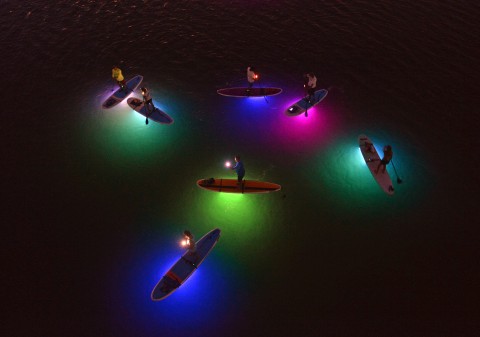 Sarasota Paddleboard Company, "Illuminated Night Tours" in Sarasota Bay.  (Herald-Tribune staff photo by Thomas Bender)