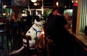 The Lost Kangaroo in downtown Bradenton is dog friendly. STAFF PHOTO / WADE TATANGELO