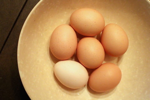 Eggs from Soles Family Farm / COOPER LEVEY-BAKER
