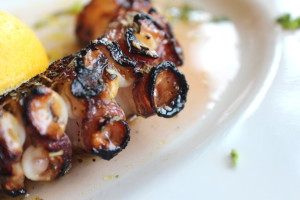 Grilled Octopus at Opa! Opa! / COOPER LEVEY-BAKER