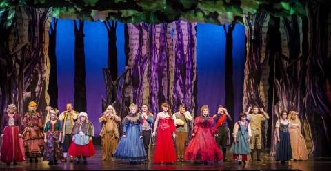 The cast of Manatee Players' production of "Into the Woods," which receives the 2015 Handy Award for best production of a musical. PHOTO PROVIDED BY MANATEE PLAYERS