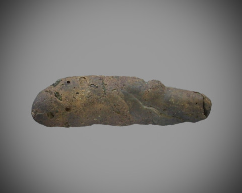 Fossilized poop from Florida that will be on display at South Florida Museum. Poozeum.com