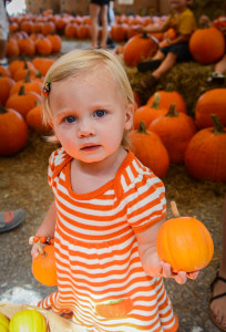 Taylor McCormack, 18 mos, was dressed in her pumpkin dress and other fall accessories Saturday, October 5, at the Fruitville Grove Pumpkin Festival.   (October 5, 2013) (Herald-Tribune staff photo by  Rachel S. O'Hara)