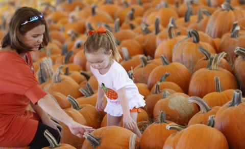 Hunsader Farms Pumpkin Festival opens today in East Bradenton. HT ARCVHIVE