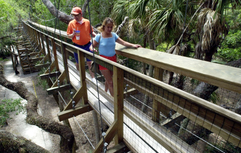 -Visitors to the Myakka River State Park in Sarasota cross the canopy bride over the park.  The bridge leads to a 400-foot tower that provides a bird's eye view of the park. HT ARCHIVE