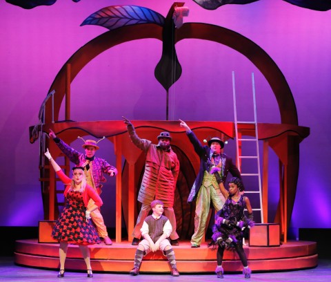 Judah Woomert, center as James, and a cast of human-sized insects played by, clockwise from lower left, Lisa Figueroa, Beckett Phanmiller, Kevin Ray Johnson, Stephen Emery and DaNiesha Carr in "James and the Giant Peach" at Venice Theatre. RENEE MCVETY PHOTO/VENICE THEATRE