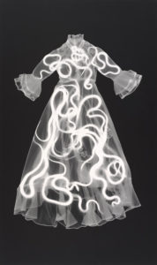 An Adam Fuss photogram that has no title is one of the first pieces in the new Ringling Museum exhibit, "Phantom Bodies: The Human Aura in Art." PHOTO PROVIDED BY RINGLING MUSEUM