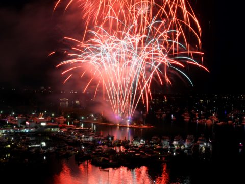 Fireworks explode over Sarasota Bay during the Fourth of July celebration at Bayfront Park in Sarasota. (July 4, 2014; Herald-Tribune staff photo by Thomas Bender)
