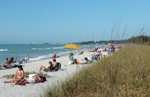 While South Siesta Key's residents go about their business a few hundred feet away, tourists relax on Turtle Beach. Staff photo / Harold Bubil; 1-20-2014.