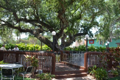 Motorowrks Brewing features a beer garden with a deck built around a sprawling, century-old oak tree. PHOTO BY CAITLIN OSTROFF